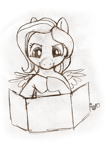 Introduction